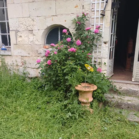 Bed & Breakfast Sur Ile De La Loire 3*