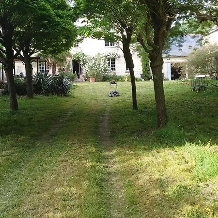 Sur Ile De La Loire Souzay-Champigny