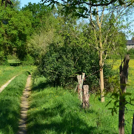 Sur Ile De La Loire